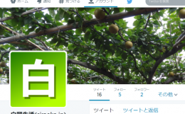 twitter「siraoka.jp」